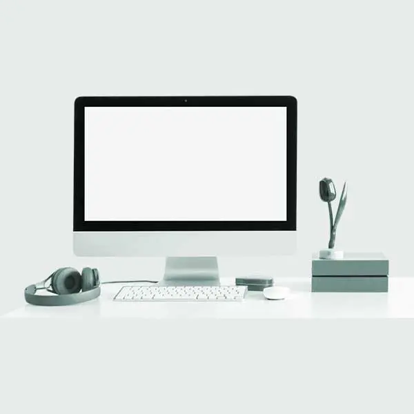 Lenovo L22e
